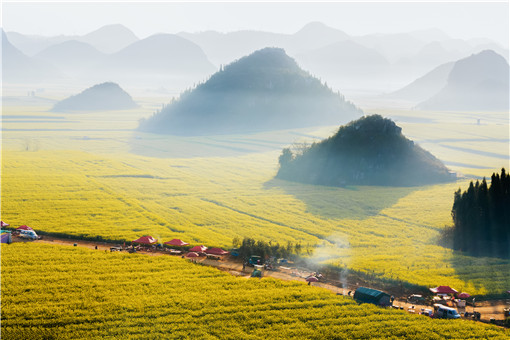 2021年中央一號文件關于農(nóng)村土地承包政策-攝圖網(wǎng)